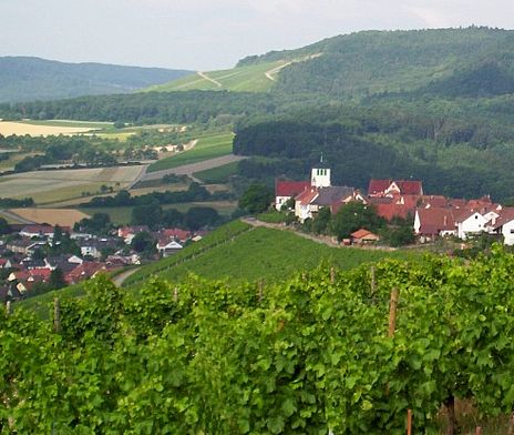 Hohenhaslach Blick über den Kirchberg ins Kirbachtal